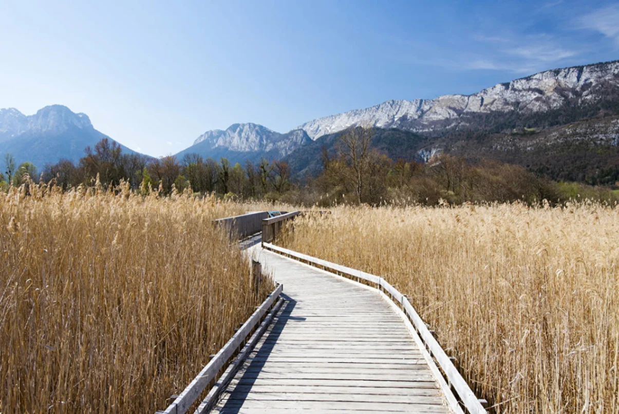 Photo of Réserve naturelle nationale du Bout du lac d'Annecy