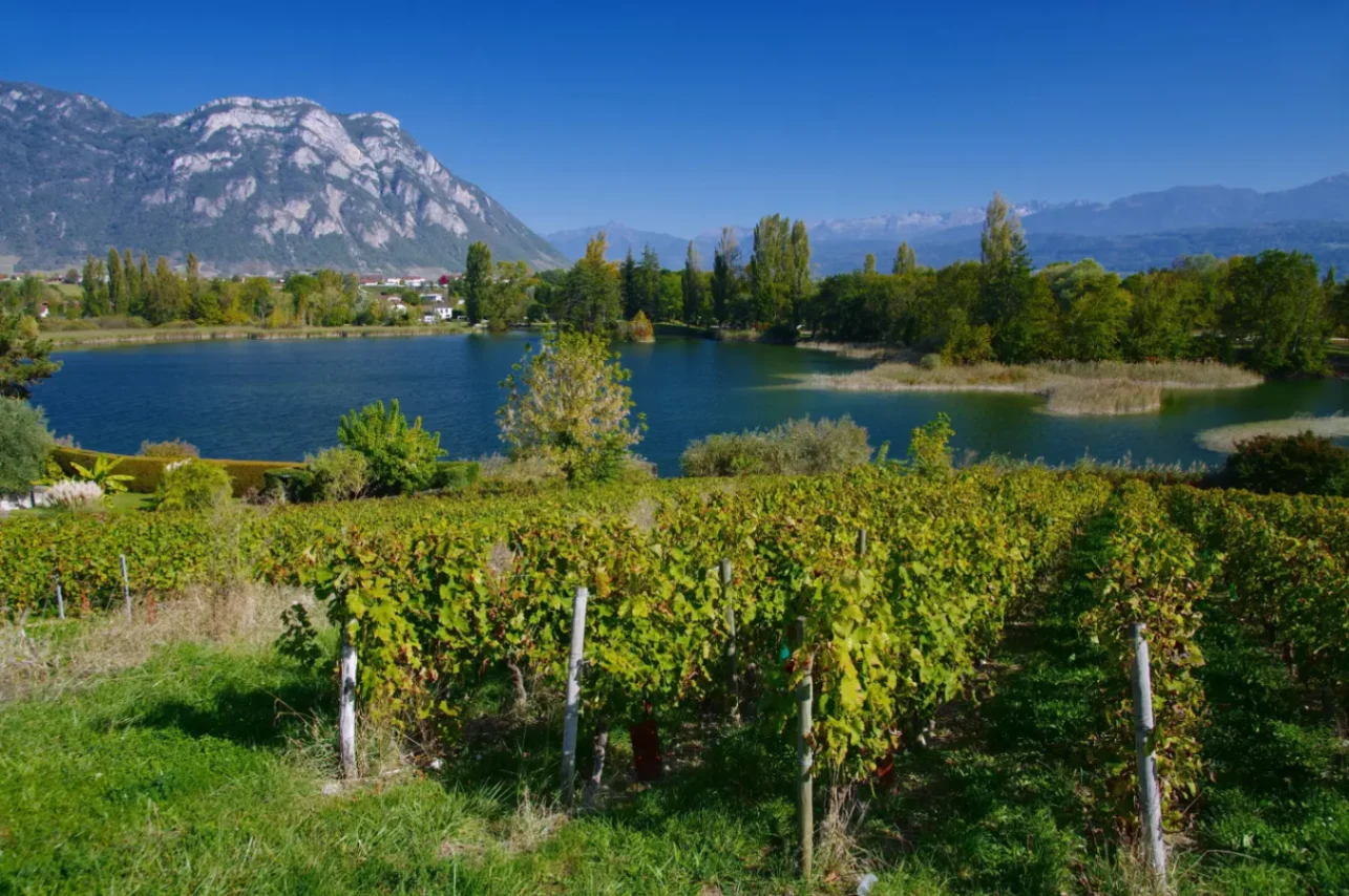 Photo of Lac de Saint-André