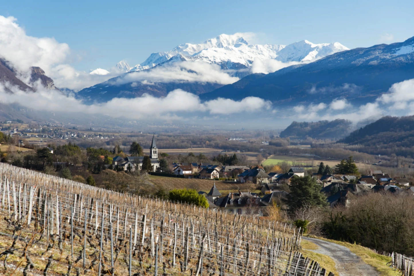 Photo of Vignobles de la Combe de Savoie